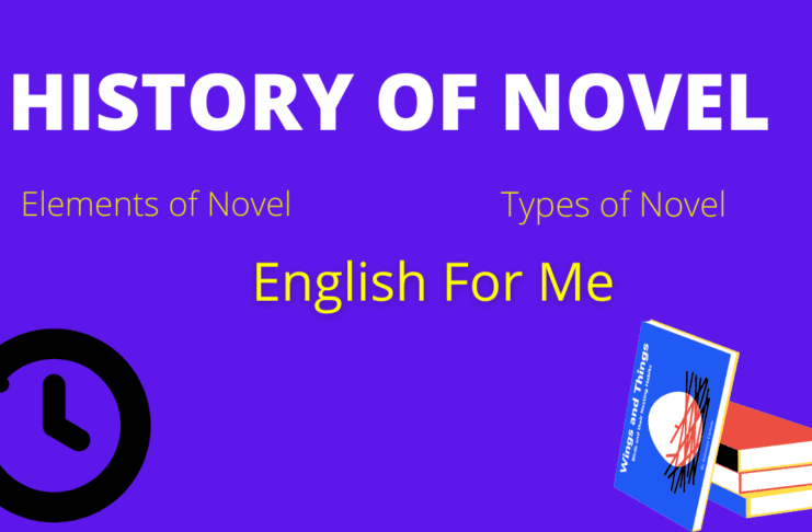 History of Novel