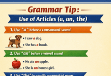 Summer English Assignment (Classes 6–8, 9 & 11)