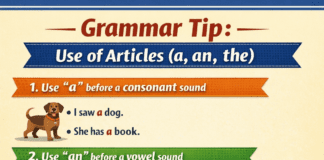 Summer English Assignment (Classes 6–8, 9 & 11)