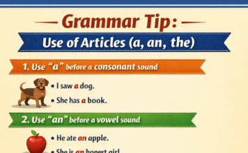 Summer English Assignment (Classes 6–8, 9 & 11) Home