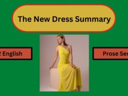 The New Dress Summary