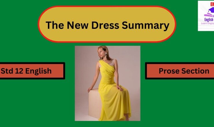 The New Dress Summary