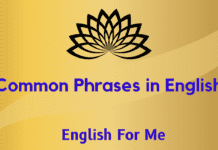 25 Common Phrases and Their Meanings with Perfect Usage in Sentences
